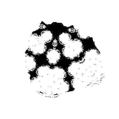 brush stroke, black and white creative element