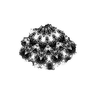 siyah ve beyaz grunge arkaplan dokusu 