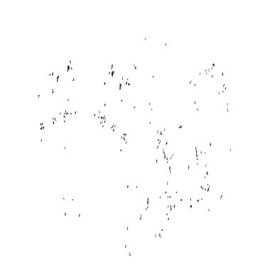 Sıkıntılı fırça darbesi. Vektör illüstrasyonu, eps