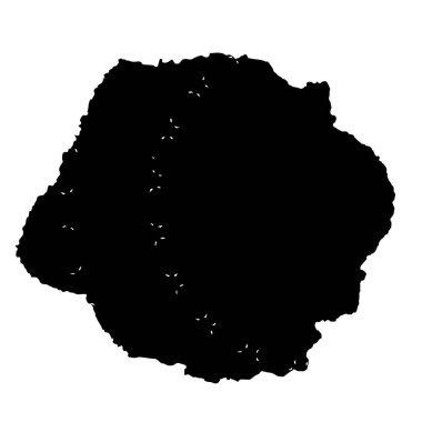 siyah mürekkep fırçası vuruşu. Grunge boya lekelerinin bir örneği. grunge toz lekesi tasarımının vektör çizimi.