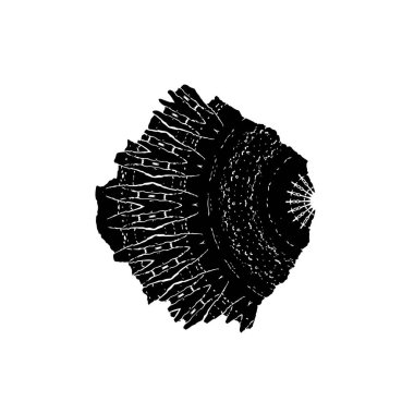 tek renkli grunge desenli arka plan vektör çizimi 