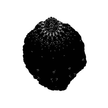 soyut boya fırça darbelerinin siyah ve beyaz vektör arkaplanı