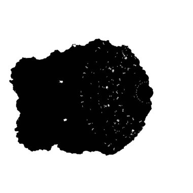 soyut boya fırça darbelerinin siyah ve beyaz vektör arkaplanı