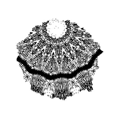 soyut boya fırça darbelerinin siyah ve beyaz vektör arkaplanı