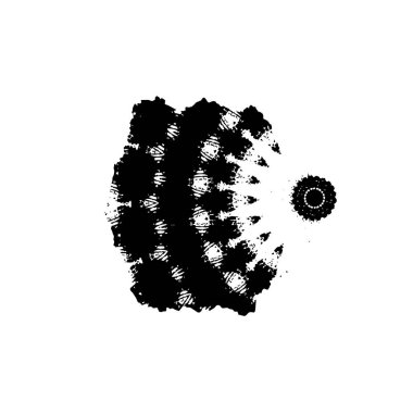 Grange mürekkebi sıçramasının basit bir çizimi