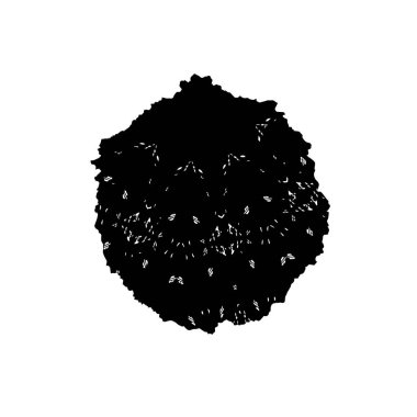 Beyaz arkaplanda bir ağacın silüeti