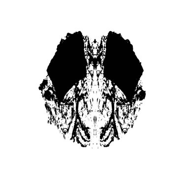 kafatası vektör illüstrasyonlu kafatası.