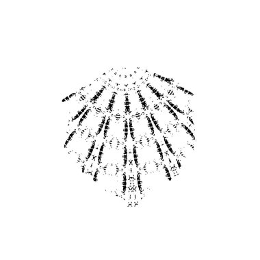 Bir ağacın silueti.