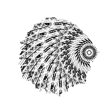 Deniz kabuklarının, deniz kabuğunun, kabuğun el çizimi tasviri. Beyaz arka planda izole edilmiş. Deniz kabuğunun çizimi