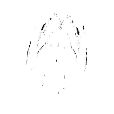 Grunge mürekkebinin basit bir çizimi. Smaç, siyah ve beyaz. 