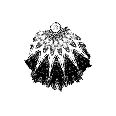 Grunge mürekkebinin basit bir çizimi. Smaç, siyah ve beyaz. 