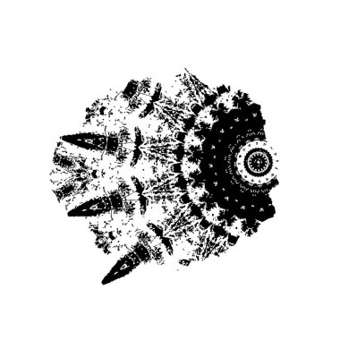 Beyaz arka planda izole edilmiş bir deniz kabuğunun yuvarlak deseni..