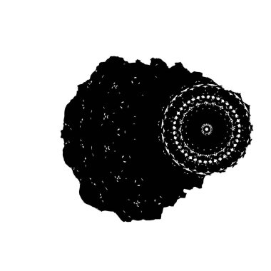 Bir ayçiçeğinin silueti