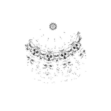 Beyaz arkaplanda kiraz çiçekleri olan çerçeve.