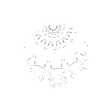 Denizin el çizimi çiziminin vektör çizimi.