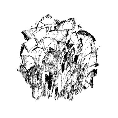 vektör el çizimi bir ağaç ağacı