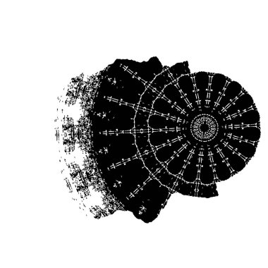 Soyut arkaplan. Monokrom dokusu. Resim siyah ve beyaz tonları içerir.