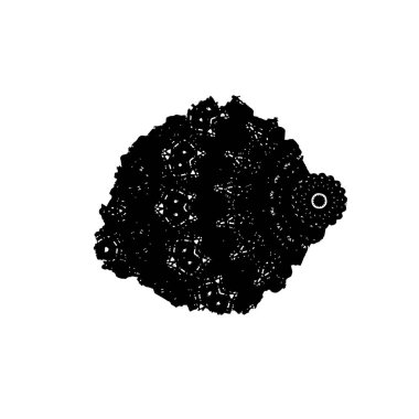 Beyaz arkaplanda siyah vektör silueti izole edildi.