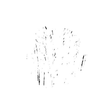 Siyah fırça darbeleri ve beyaz. grunge soyut el - boyanmış elementler.