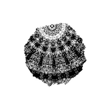 creative element of black brush stroke on white background 