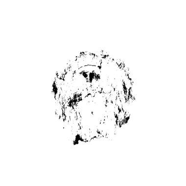 Siyah mürekkep lekesi. Beyaz arkaplanda soyut el boyama ögesi