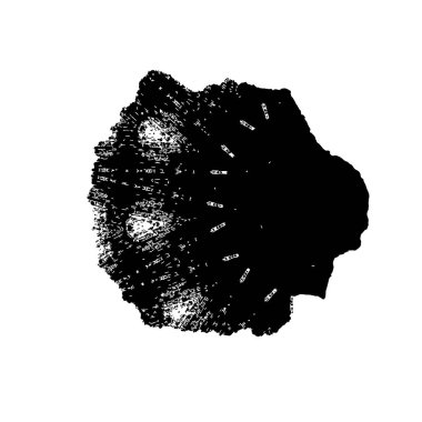 Beyaz arka planda soyut siyah nokta. vektör illüstrasyonu