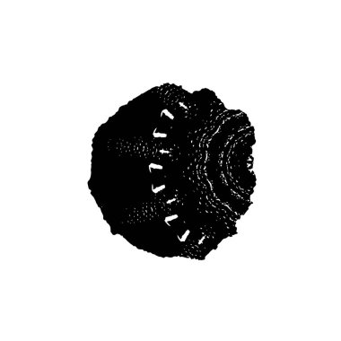 Grunge fırça darbesi, vektör çizim