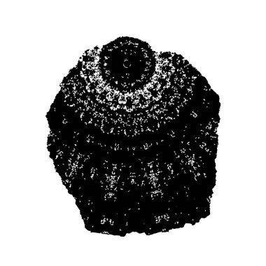 Siyah ve beyaz sıkıntı doku