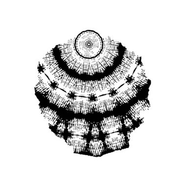 Grunge boyası siyah beyaz arkaplan. 