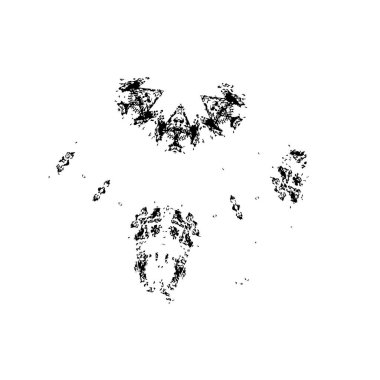 Grunge boyası siyah beyaz arkaplan. 