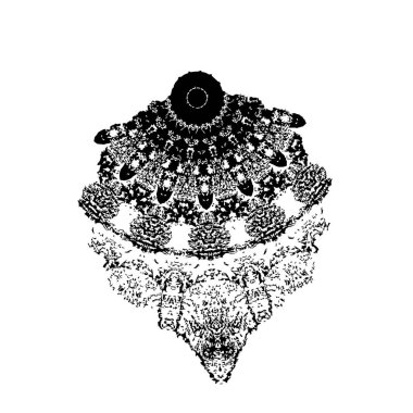 Grunge boyası siyah beyaz arkaplan. 