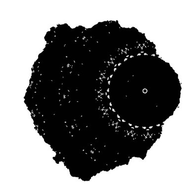 grunge monokrom dokusu arkaplanı. 