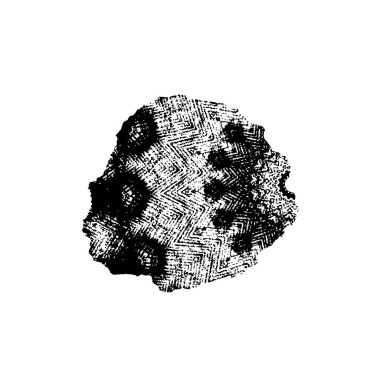 siyah beyaz grunge desenli arkaplan, boşluğu kopyala