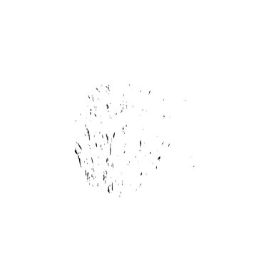 grunge vektörü siyah ve beyaz dokusu