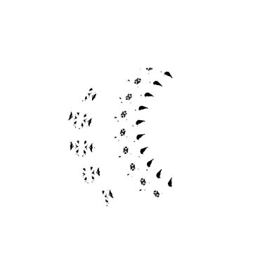 Grunge fırça darbesi, vektör çizim