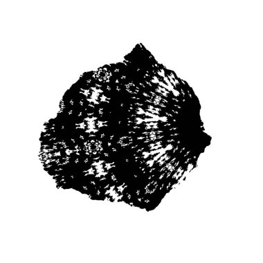 Grunge fırça darbesi, vektör çizim