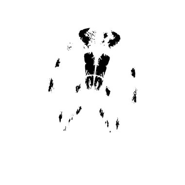 grunge fırça darbesi vektör arkaplanı