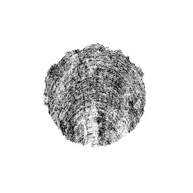 siyah ve beyaz monokrom yıpranmış arka plan soyut dokusu 