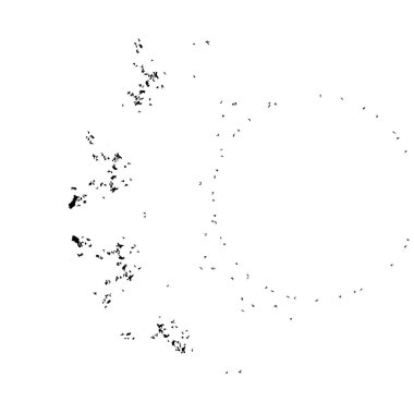 siyah ve beyaz el - çizilmiş mürekkep fırçası vuruşu