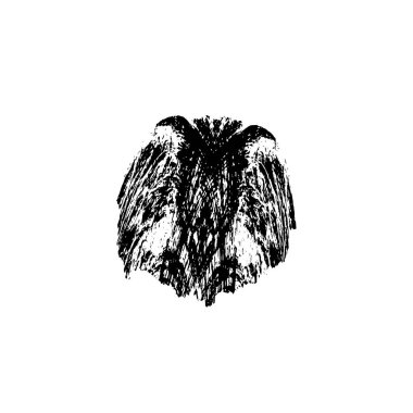 siyah ve beyaz monokrom yıpranmış arka plan soyut dokusu 