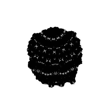 siyah ve beyaz renkli sıkıntılar. Grunge dokusu. soyut arkaplan. 