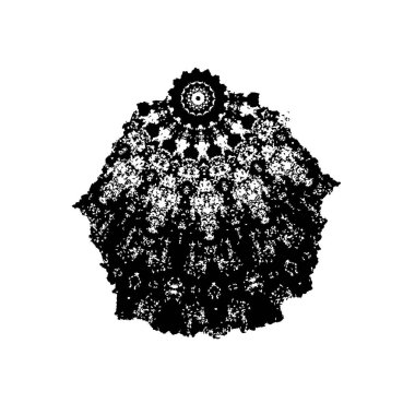 siyah ve beyaz renkli sıkıntılar. Grunge dokusu. soyut arkaplan. 