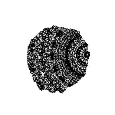 siyah ve beyaz renkli sıkıntılar. Grunge dokusu. soyut arkaplan. 