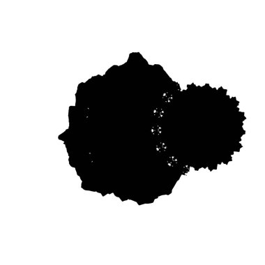 siyah ve beyaz renkli sıkıntılar. Grunge dokusu. soyut arkaplan. 