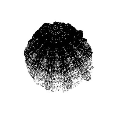 Soyut grunge arkaplanı. siyah ve beyaz tonlar.