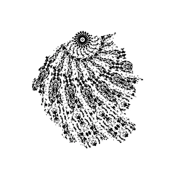 grunge fırça darbesi vektör arkaplanı