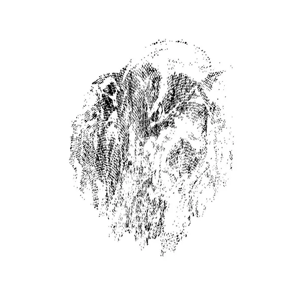 siyah ve beyaz monokrom yıpranmış arka plan soyut dokusu 