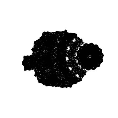 Beyaz arkaplanda kısmi mandala geometrik izi