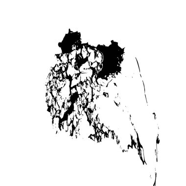 Siyah mürekkep lekesi. Beyaz arkaplanda soyut el boyama ögesi