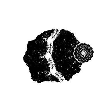 monokrom soyut yaratıcı arkaplan